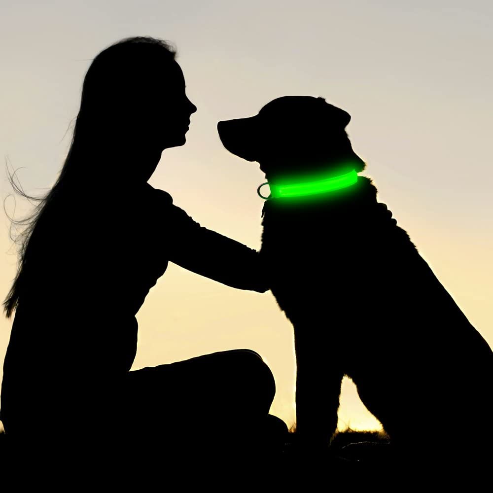 USB Charging LED Dog Collar (5 COLORS!)