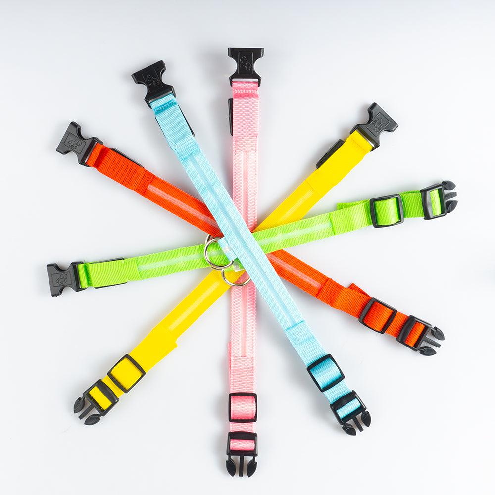 USB Charging LED Dog Collar (5 COLORS!)
