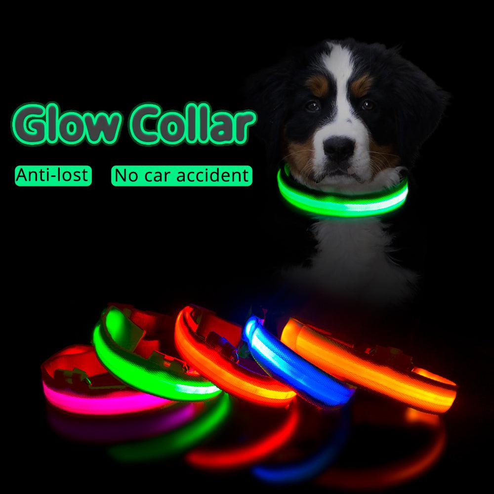 USB Charging LED Dog Collar (5 COLORS!)