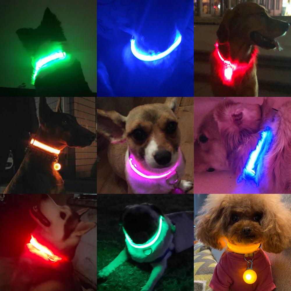 USB Charging LED Dog Collar (5 COLORS!)