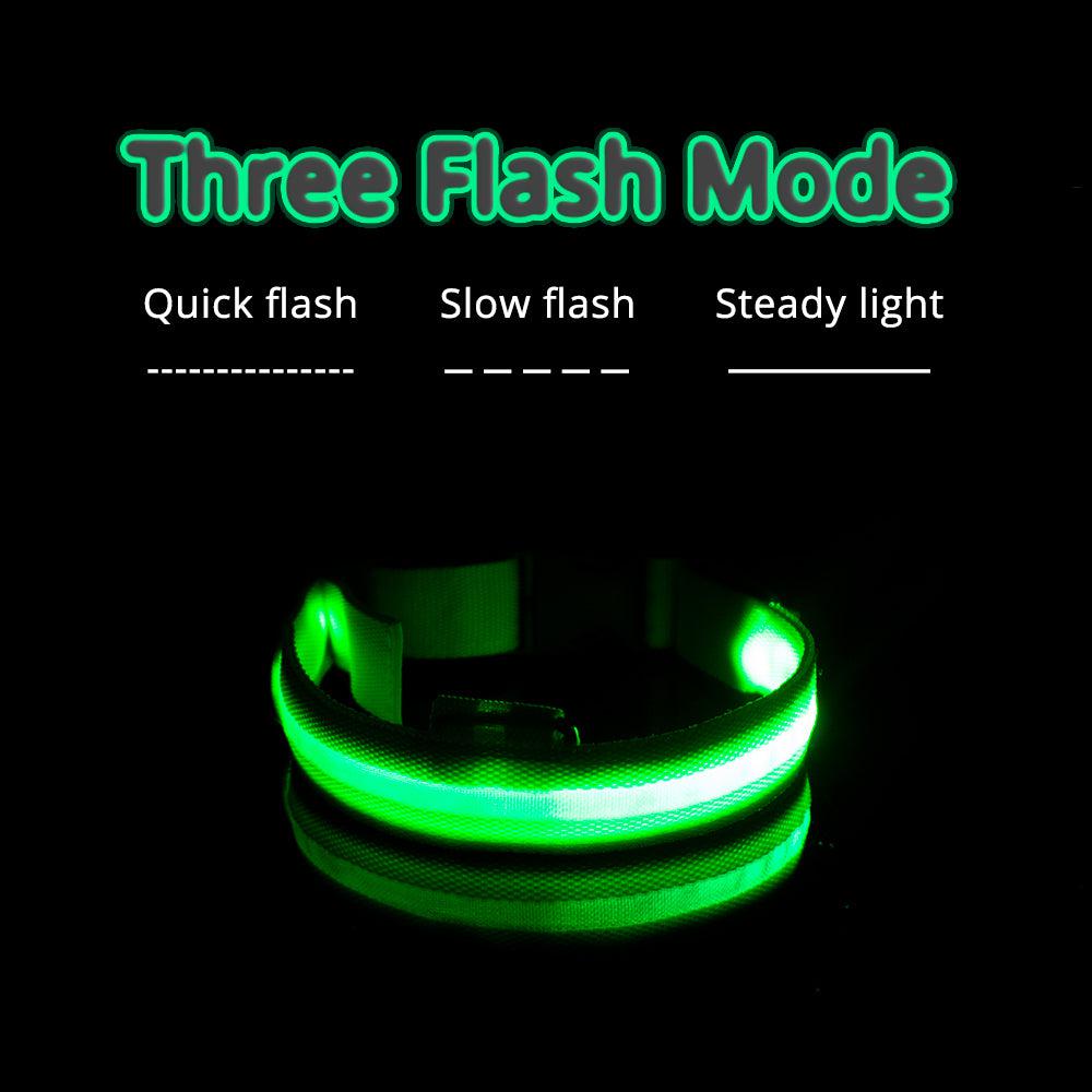 USB Charging LED Dog Collar (5 COLORS!)