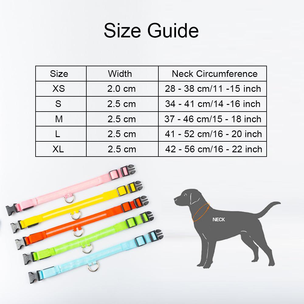 USB Charging LED Dog Collar (5 COLORS!)