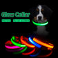 USB Charging LED Dog Collar (5 COLORS!)